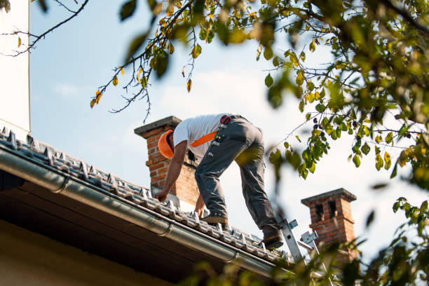 Best Flat Roofing  in Fremont, MI
