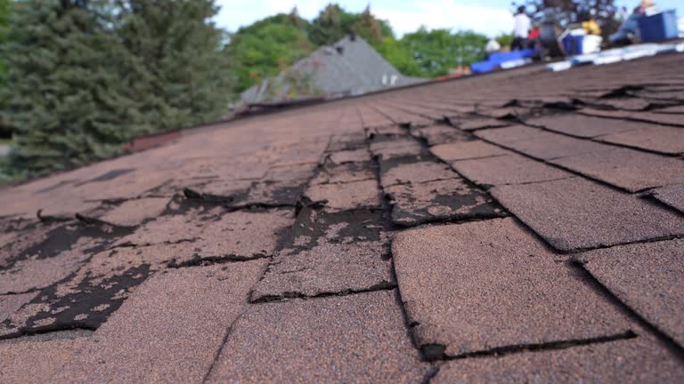 Best 4 Ply Roofing  in Fremont, MI