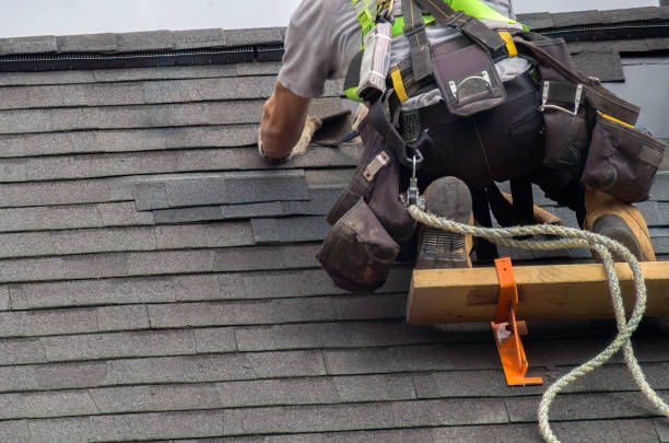 Best Roof Insulation Installation  in Fremont, MI