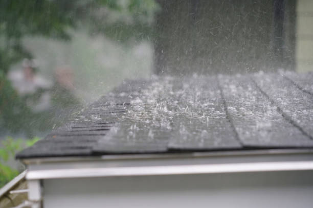 Best Sheet Metal Roofing  in Fremont, MI