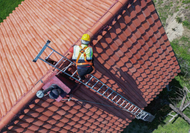 Best Roof Coating and Sealing  in Fremont, MI