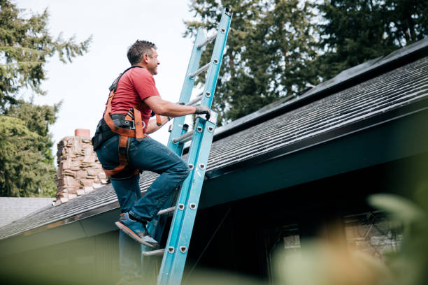 Best Emergency Roof Repair  in Fremont, MI