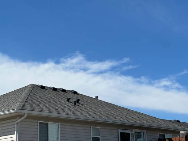 Fast & Reliable Emergency Roof Repairs in Fremont, MI